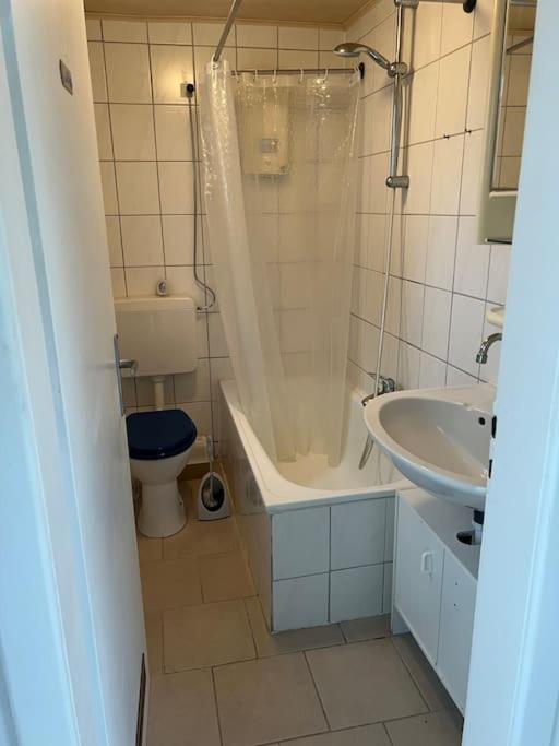 Apartment Ruhige In Wiesbaden